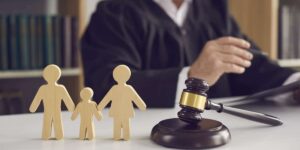 Empathy and Expertise: Navigating Complex Family Matters with Family Lawyers